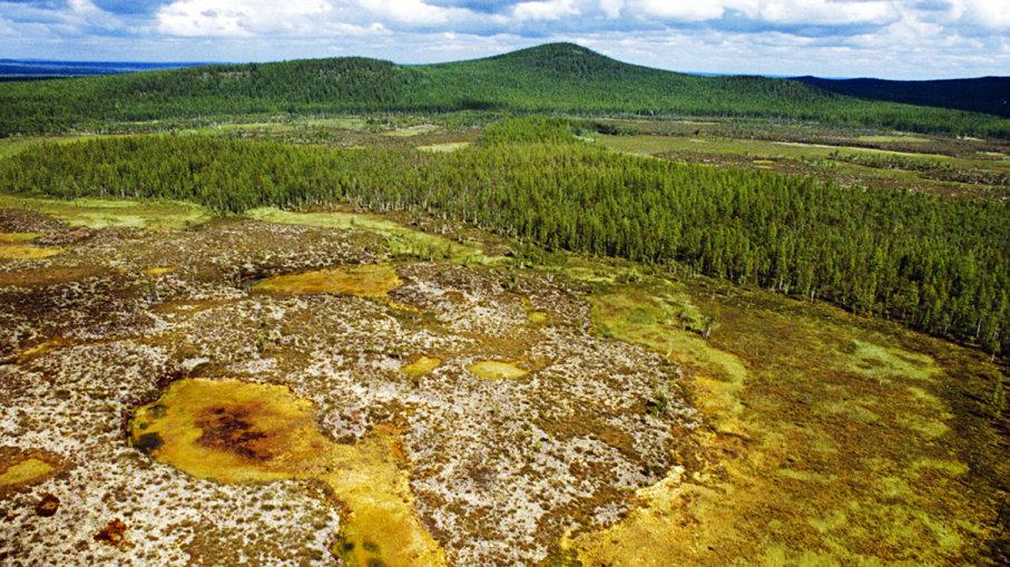 peristiwa tunguska