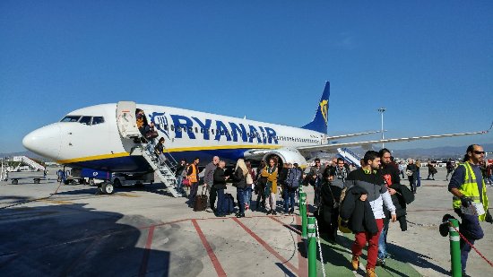 pesawat boeing 737 800 ryanair