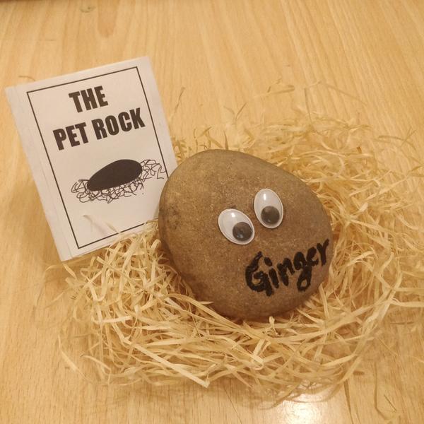 pet rock 2