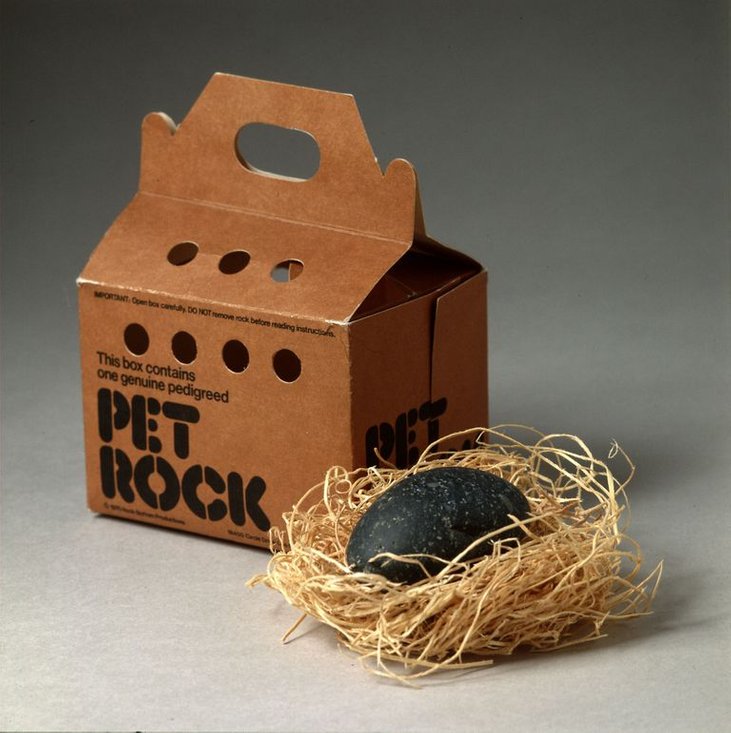 pet rock