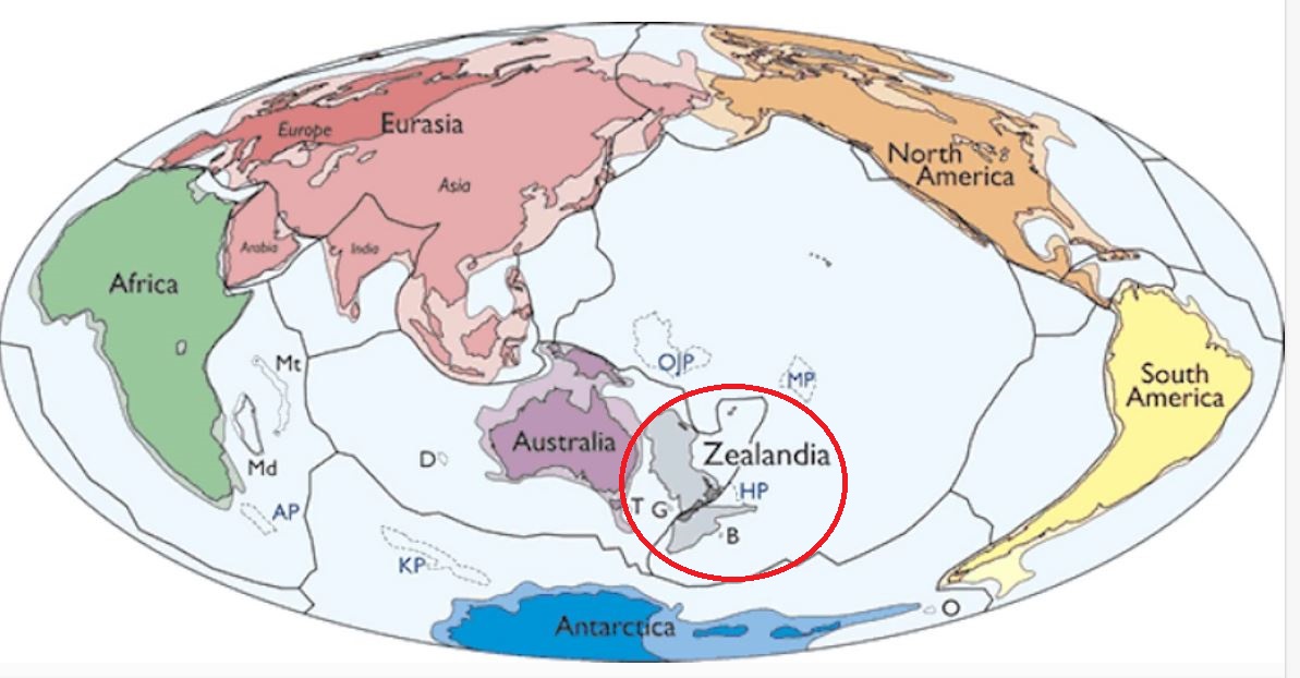 peta dunia termasuk zealandia 593