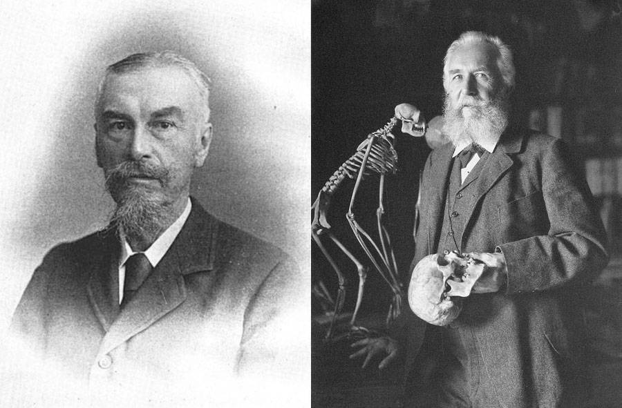 philip lutley sclater dan ernst haeckel