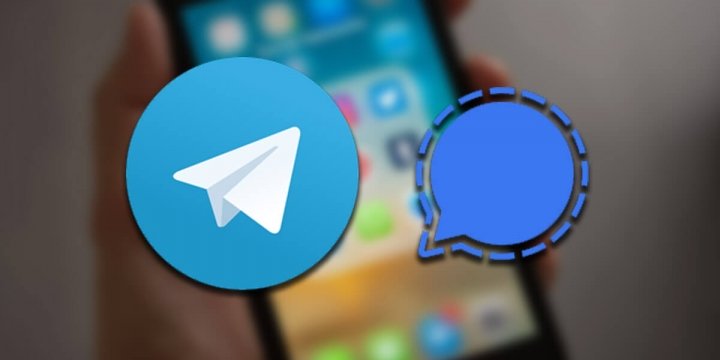 pilih signal atau telegram