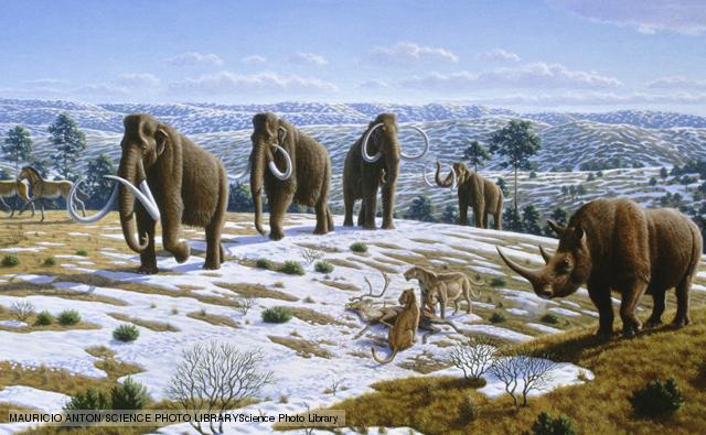 pleistocene epoch