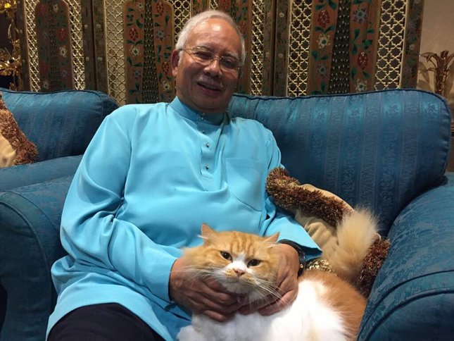 pm najib bersama kucing debab