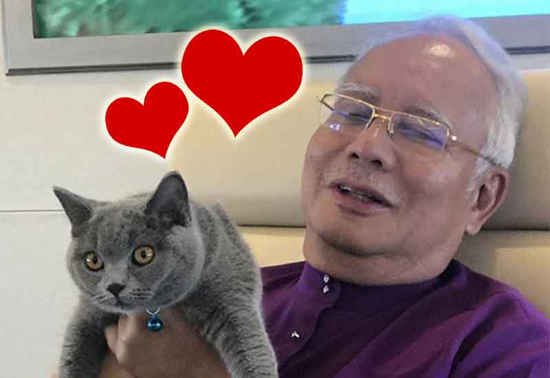 pm najib dapat hadiah kucing gemuk