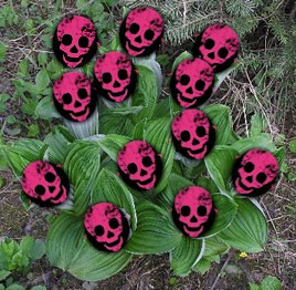 poisonous plant