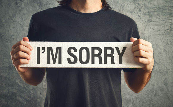 professional apologizer