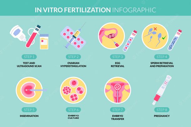 proses ivf