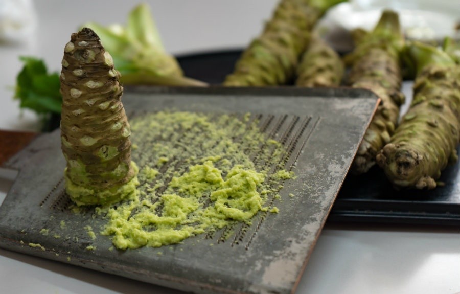 proses memarut wasabi