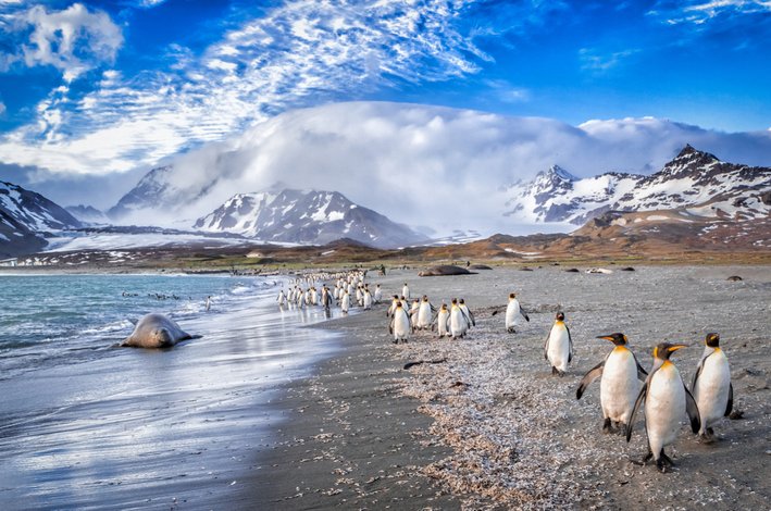 pulau falkland