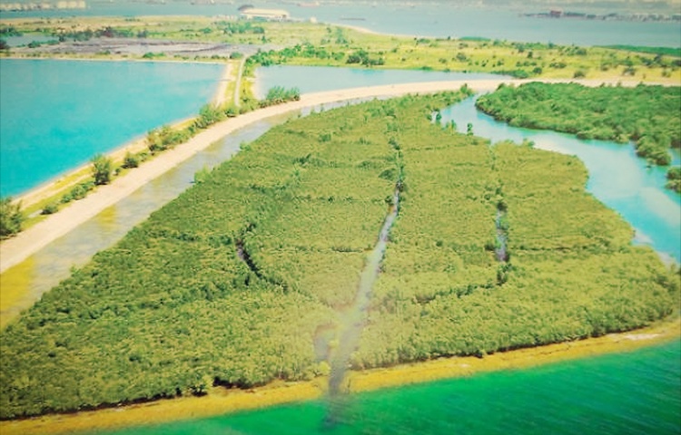 pulau semakau singapura tapak pelupusan sampah paling terbaik dunia ekologi alam sekitar