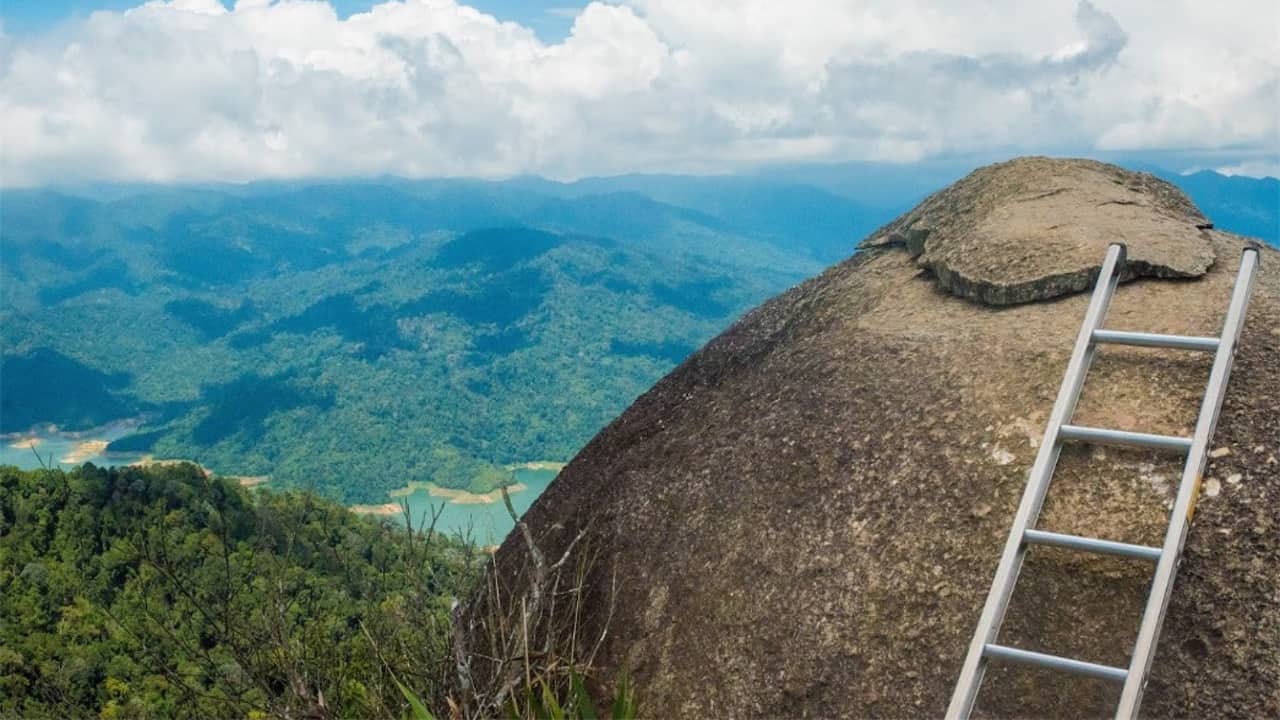 puncak bukit kutu