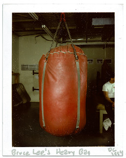 punching bag bruce lee