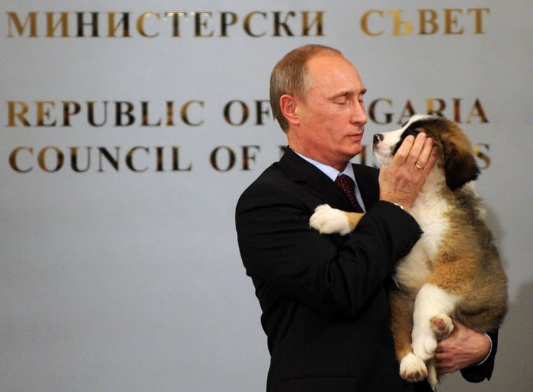 putin dan anjing