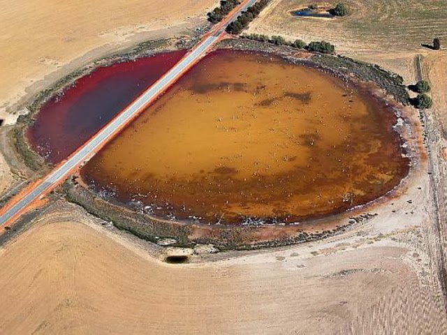 quairading pink lake tasik pink dua warna di australia