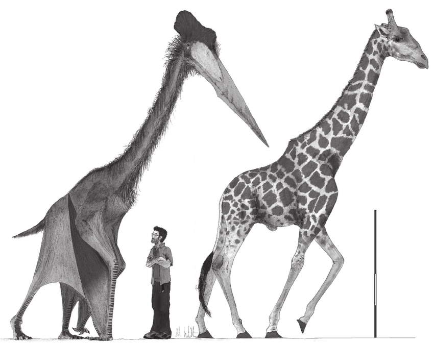 quetzalcoatlus