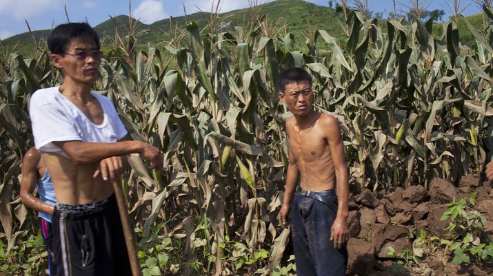 rakyat korea utara bekerja 2 83