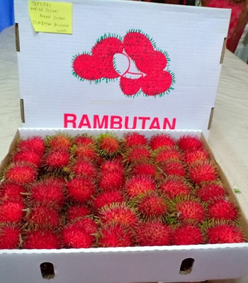 rambutan mutiara wangi