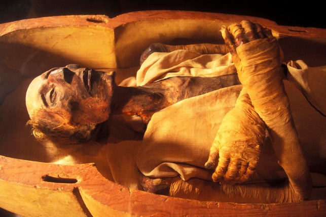 ramesses ii