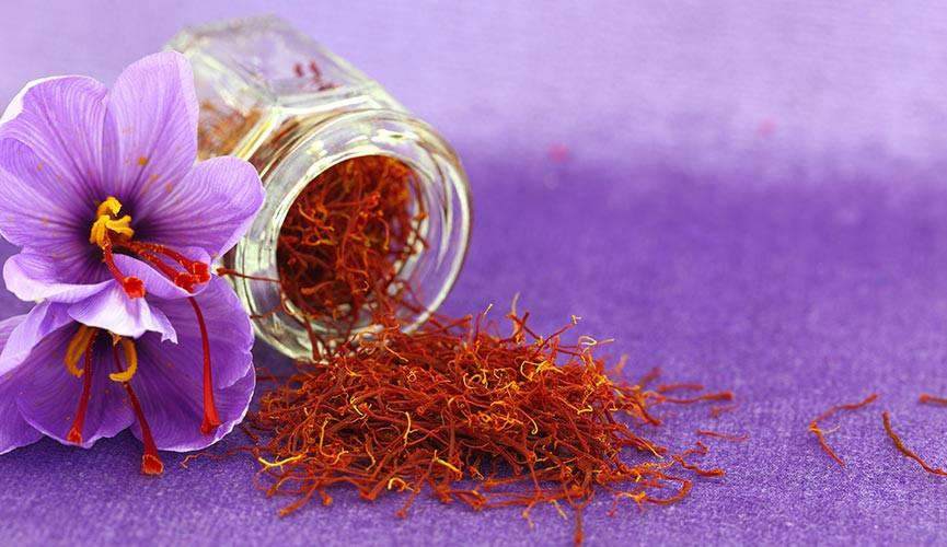 rempah saffron