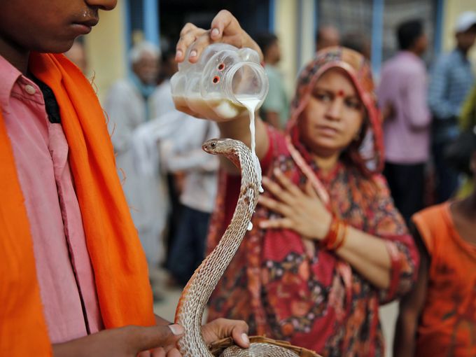 ritual nag panchami