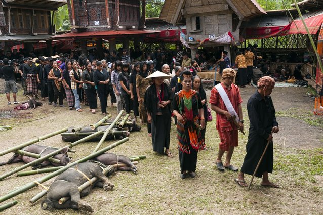 ritual pengebumian toraja