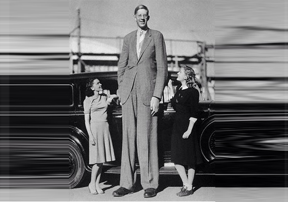 robert wadlow manusia paling besar dan tinggi di dunia