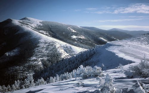 rogers pass montana