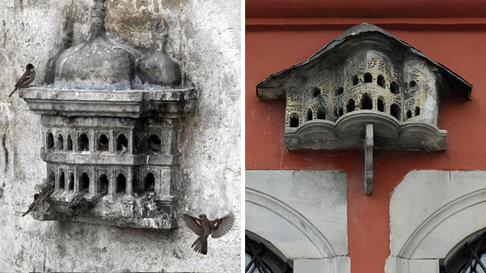 rumah burung turki