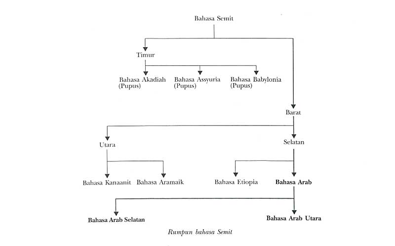 rumpun bahasa semit