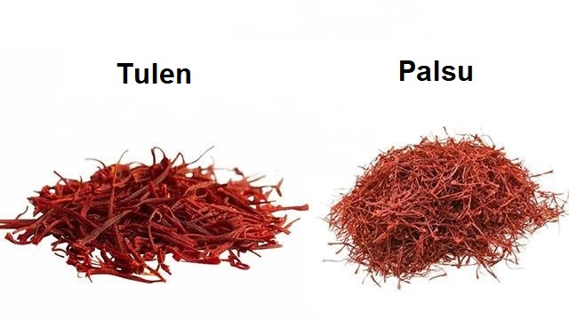 safron palsu dan sebenar 399