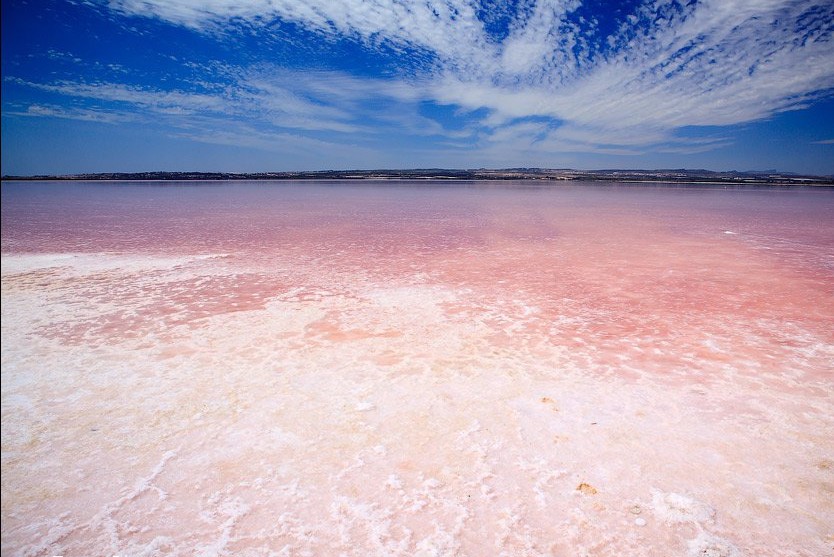 salina de torrevijea tasik pink terkenal di sepanyol