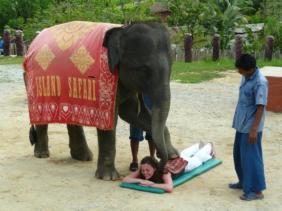 sebab anda perlu elak langgan urutan badan oleh gajah