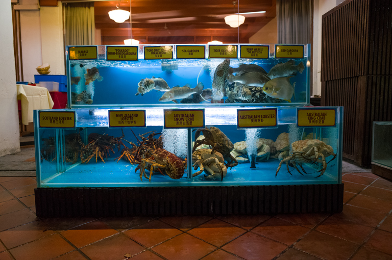 sebab mengapa udang karang diletakkan dalam akuarium di restoran