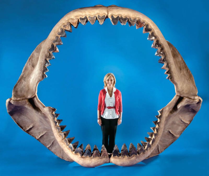 seorang wanita berdiri dalam rahang megalodon