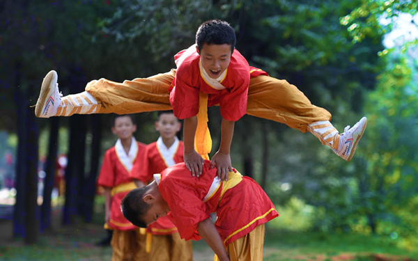 shaolin kung fu hoye