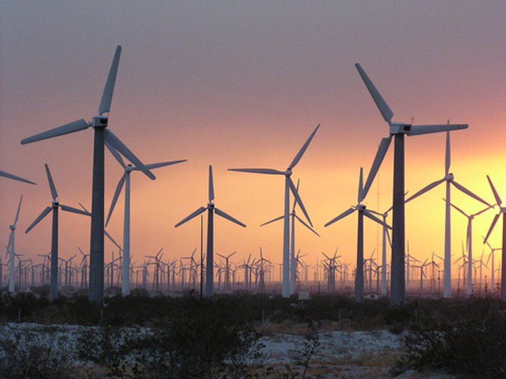 shepherds flat wind farm 608