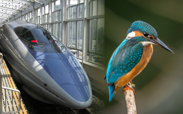 shinkansen bullet train burung raja udang