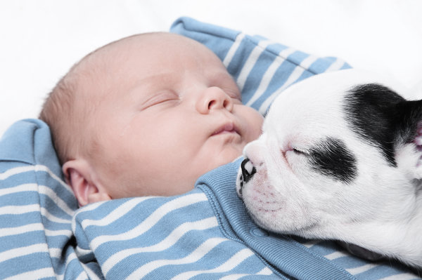 si kecil tidur nyenyak bersama haiwan peliharaan pet mereka 7