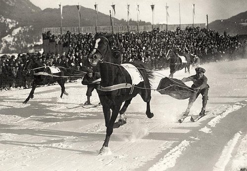 skijoring