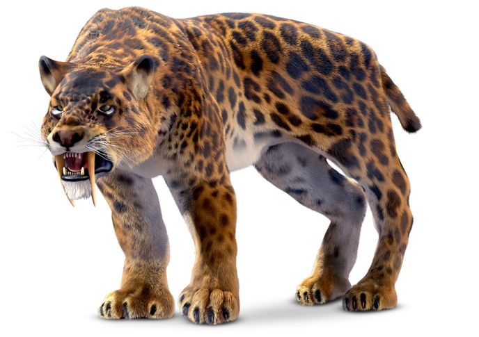 smilodon 2