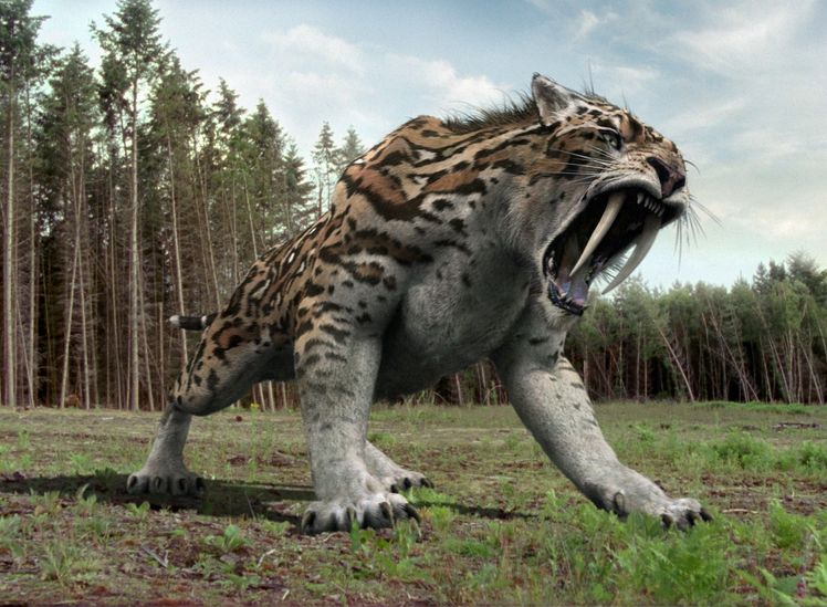 smilodon