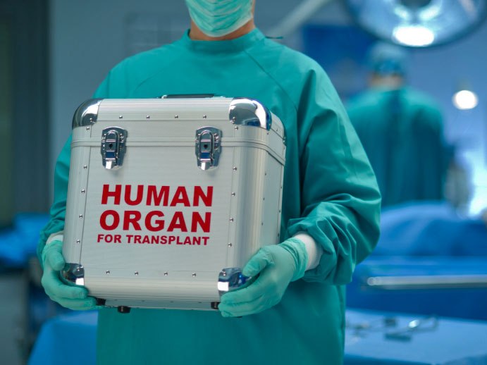 statistik organ donor