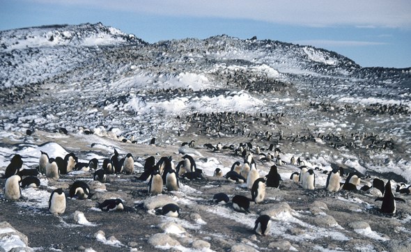 stesen mcmurdo tempat di dunia yang tidak pernah diterokai manusia