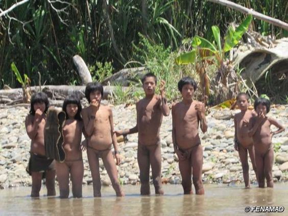 suku kaum orang asli mashco piro