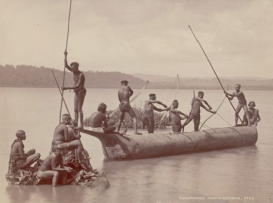 suku kaum orang asli pulau utara sentinelese