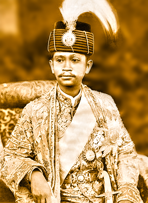 sultan abdul hamid halim shah kedah young muda