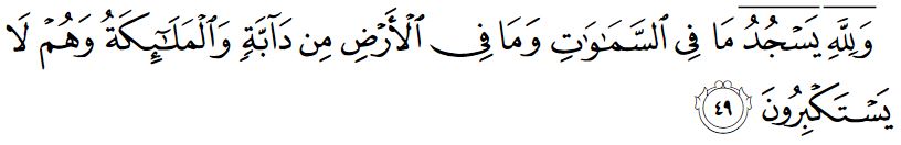 surah an nahl ayat 49