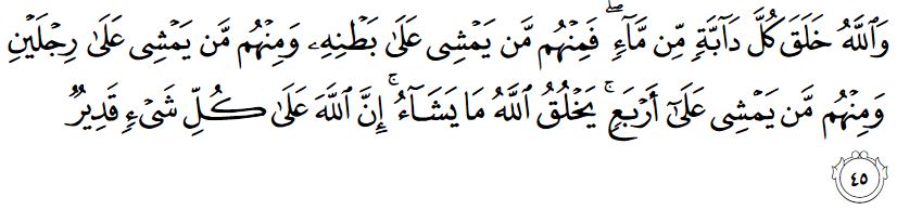 surah an nur ayat 45